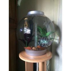 30 litre round BiOrb fish tank, accessories and stand