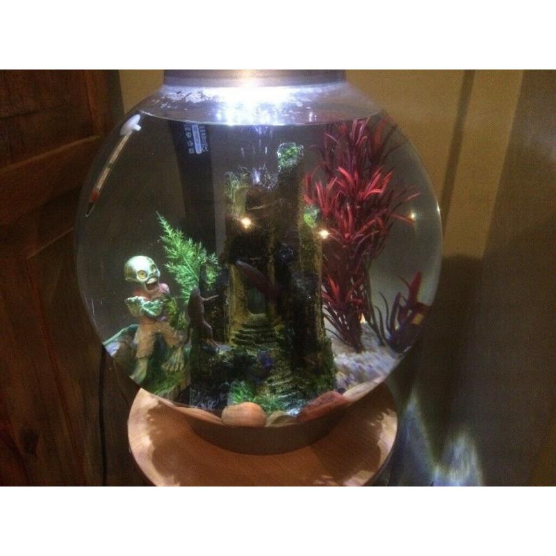 30 litre round BiOrb fish tank, accessories and stand