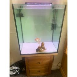 Custom fish tank