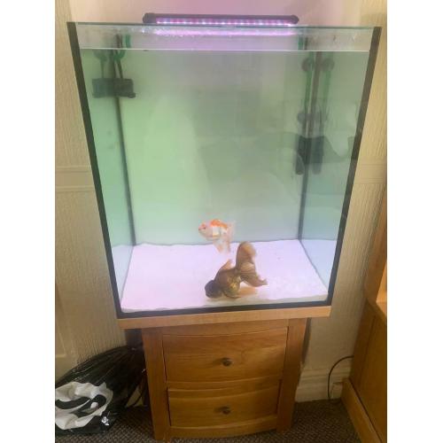 Custom fish tank