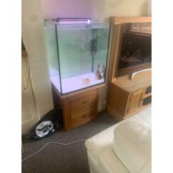 Custom fish tank