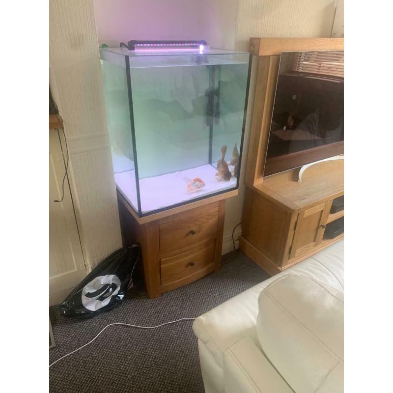 Custom fish tank