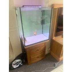 Custom fish tank