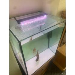 Custom fish tank