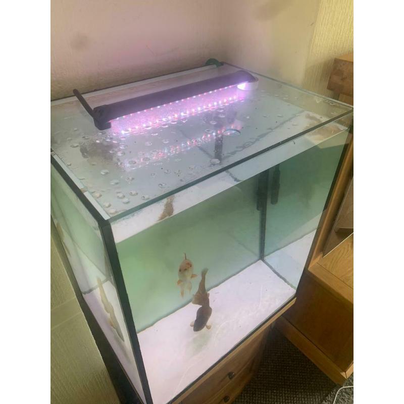 Custom fish tank