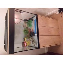 Fish tank and cabinet with accessories