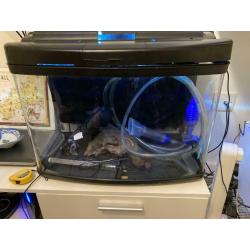 Tropical Fish Aquarium