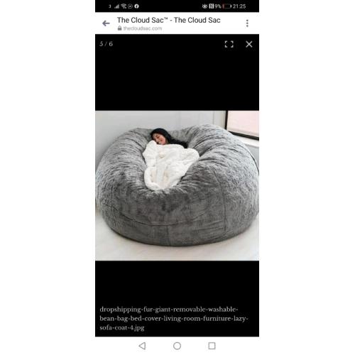 Cloud sac, bean bag wanted