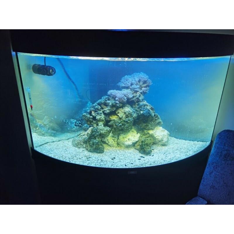 Jewel trigon 190 full marine setup