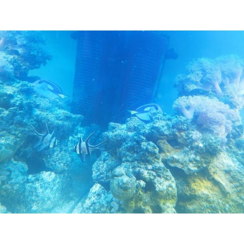 Jewel trigon 190 full marine setup