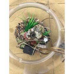 AquaBio Aquarium with accessories, pump, decorations, good condition, cleaning kit, spare hose, net