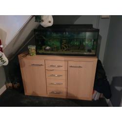 Fish tank ,unit fish and accessories