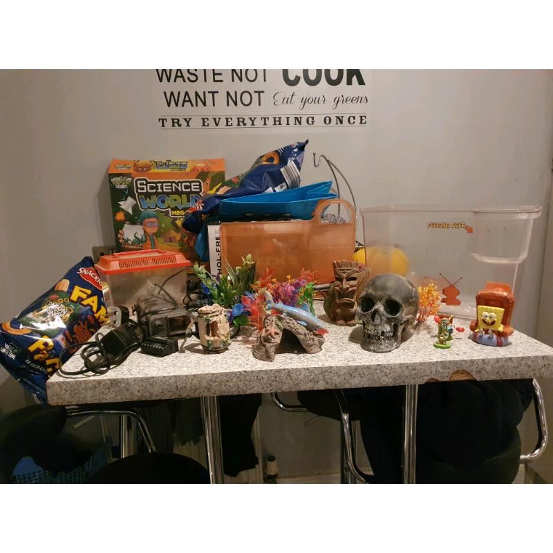 Fish tank ,unit fish and accessories