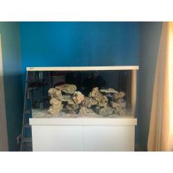 Red Sea fish tank