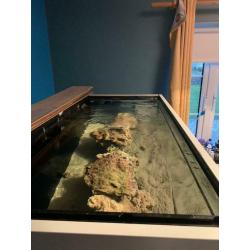 Red Sea fish tank