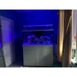 Red Sea fish tank