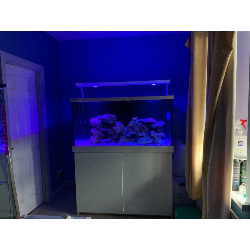 Red Sea fish tank