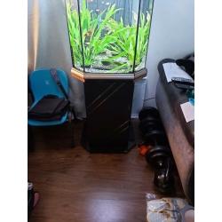 Tropical Fish tank set up