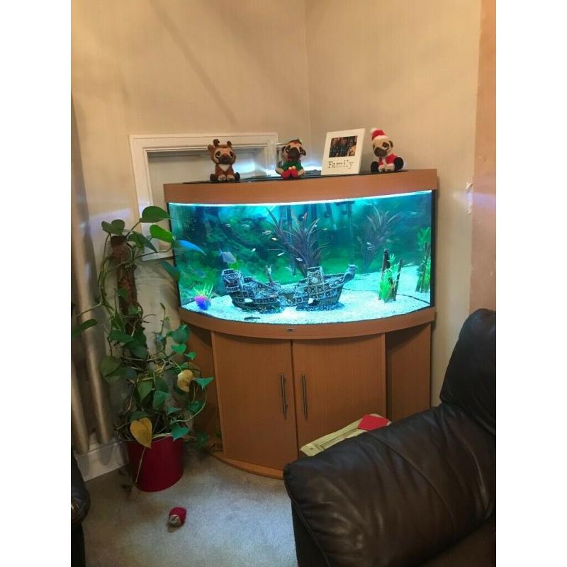 Juwel 350 Complete Corner Tank