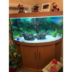 Juwel 350 Complete Corner Tank