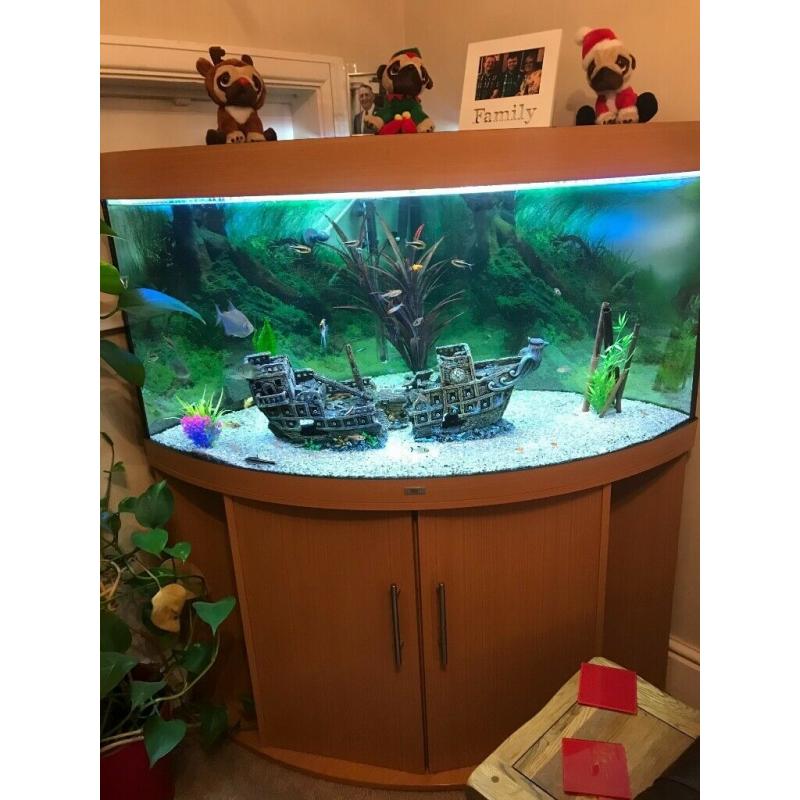 Juwel 350 Complete Corner Tank