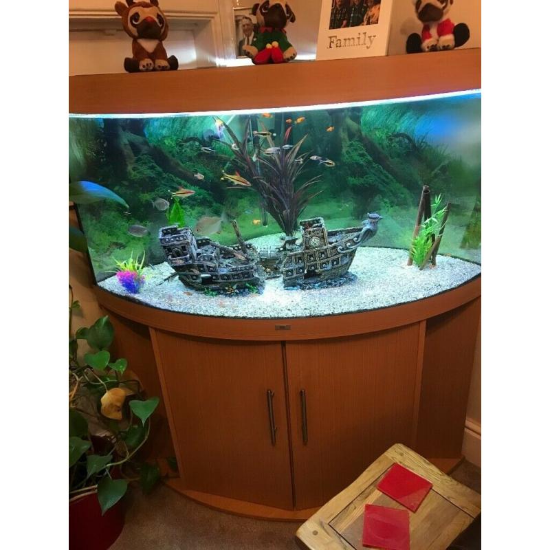 Juwel 350 Complete Corner Tank