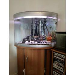100L CORNER AQUARIUM FISH TANK WITH FILTER AND ACCESSORIES