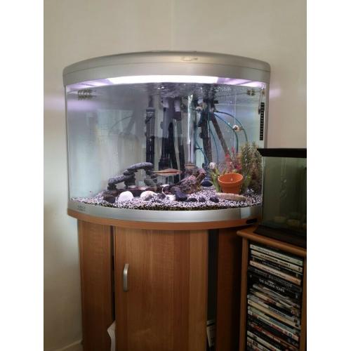 100L CORNER AQUARIUM FISH TANK WITH FILTER AND ACCESSORIES