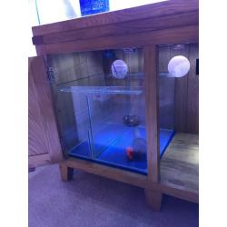 Aqua Oak Aquarium