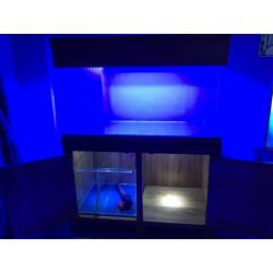 Aqua Oak Aquarium