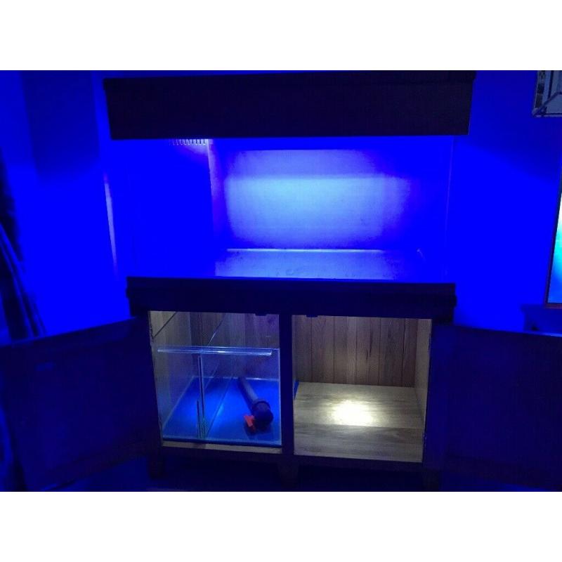 Aqua Oak Aquarium