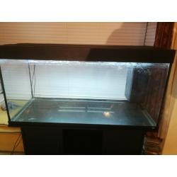 Large Aquarium (121 x 51 x 133 cm) with wooden stand