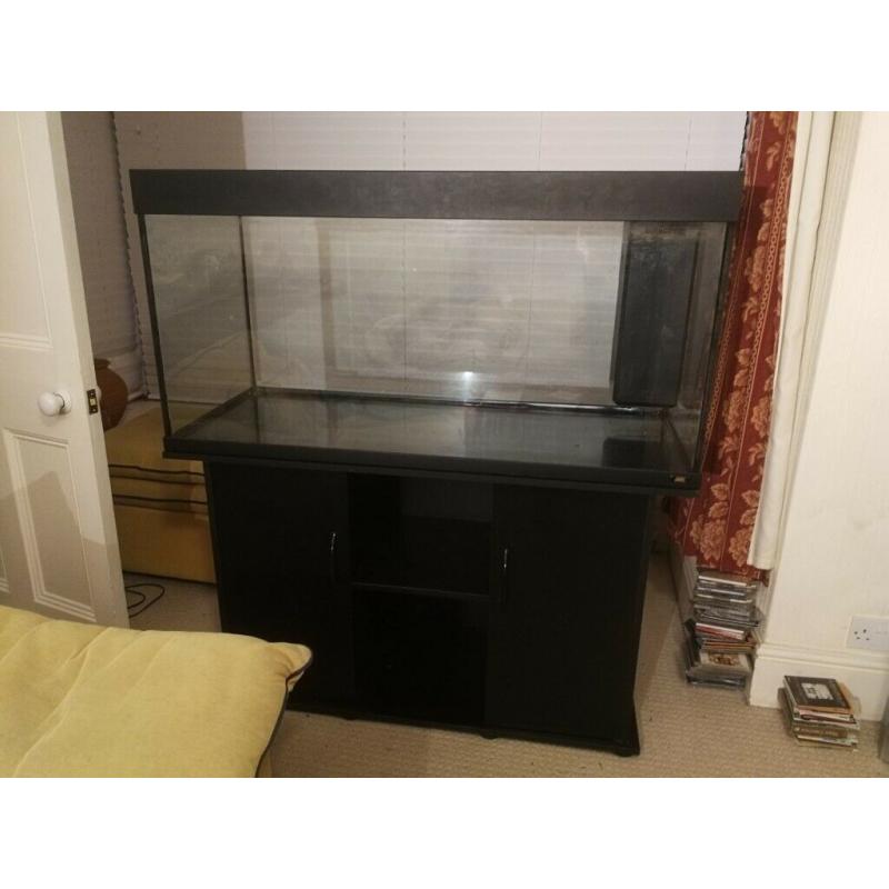 Large Aquarium (121 x 51 x 133 cm) with wooden stand