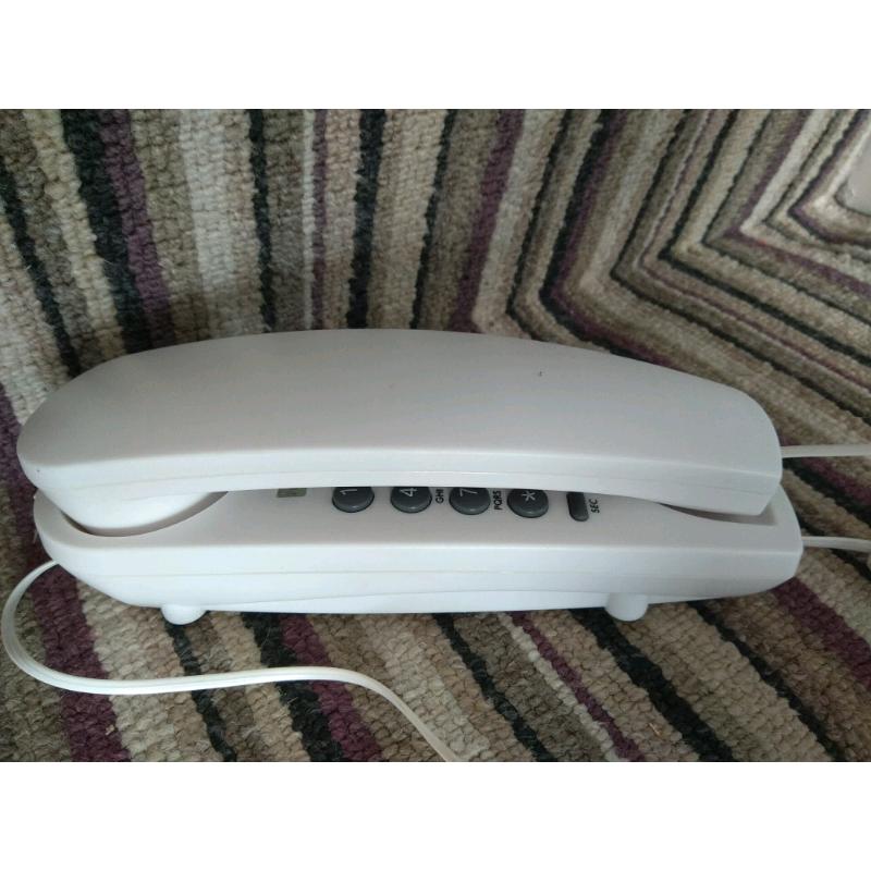 Home telephone