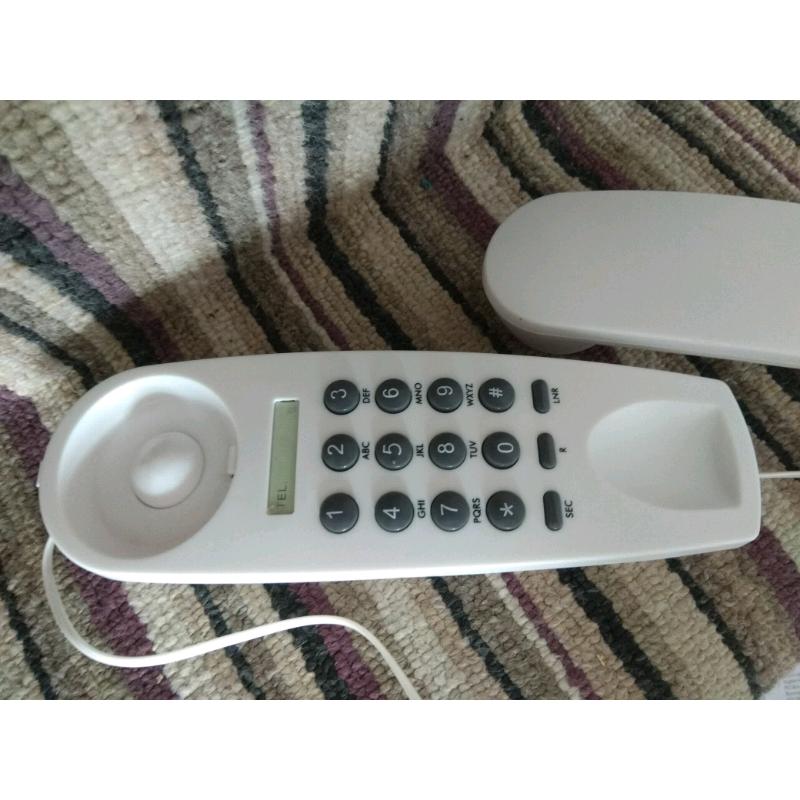 Home telephone