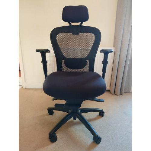 Office Hippo Ergonomic Office Chair with Mesh Back Support, Adjustable Arms, Lumbar Support, Black
