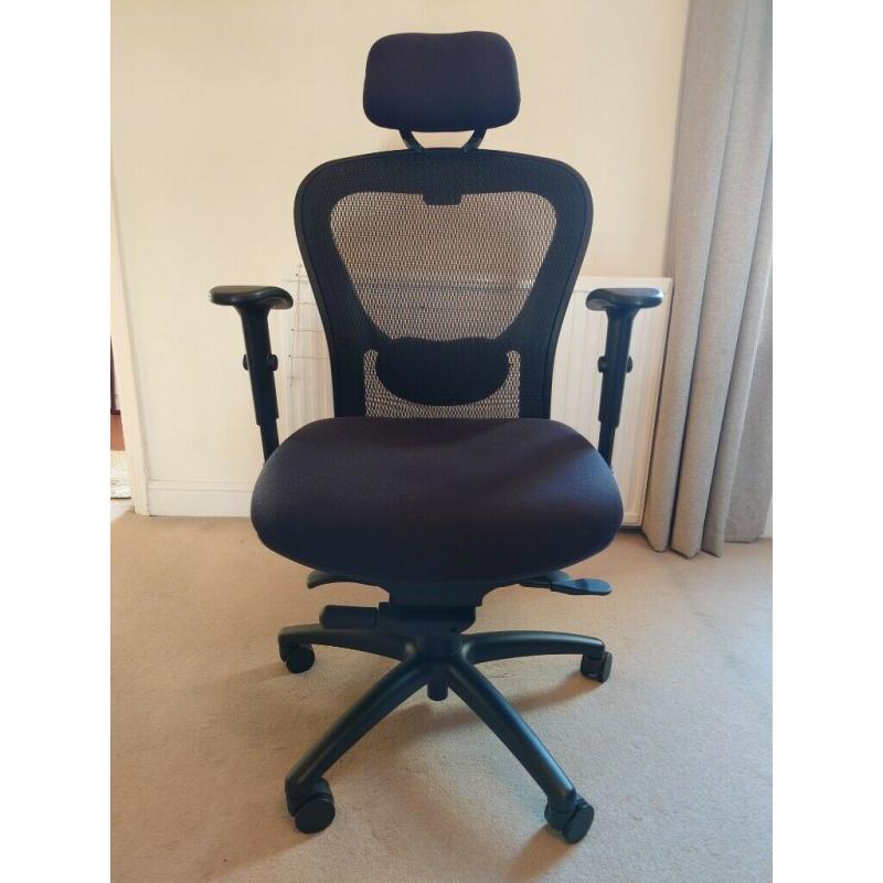 Office Hippo Ergonomic Office Chair with Mesh Back Support, Adjustable Arms, Lumbar Support, Black