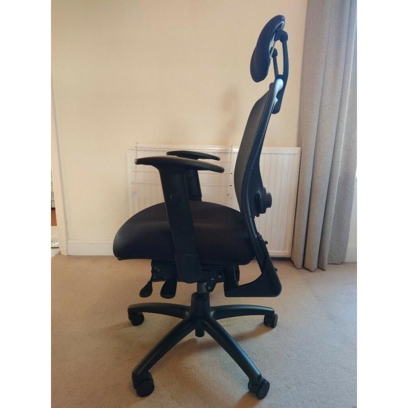 Office Hippo Ergonomic Office Chair with Mesh Back Support, Adjustable Arms, Lumbar Support, Black