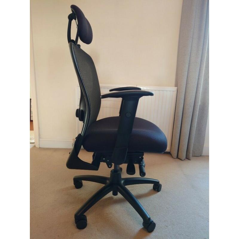 Office Hippo Ergonomic Office Chair with Mesh Back Support, Adjustable Arms, Lumbar Support, Black
