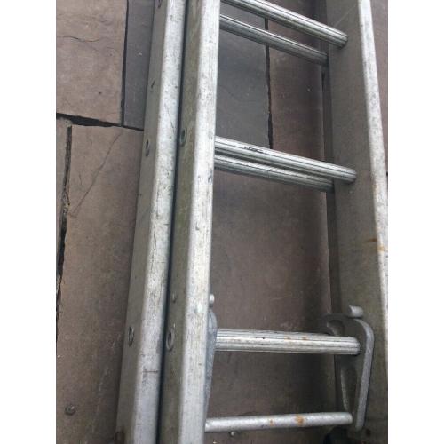Extra large/ Double ladders