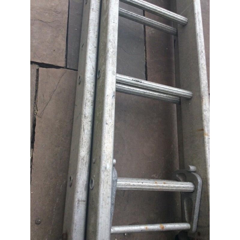 Extra large/ Double ladders