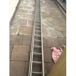 Extra large/ Double ladders