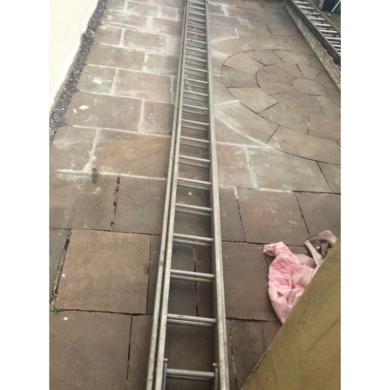 Extra large/ Double ladders