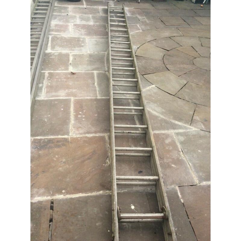 Extra large/ Double ladders