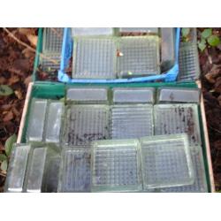 GLASS BLOCKS, ALL CLEAN, NO DAMAGE, AT LEAST 38 TOTAL