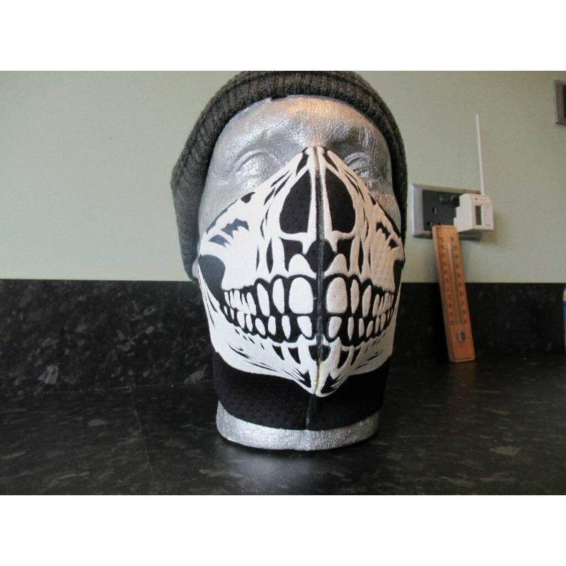 Biker Face Mask.