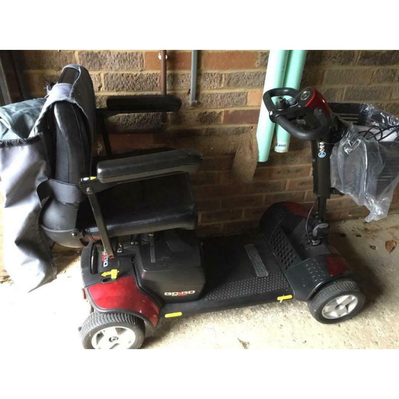 Mobility Buggy