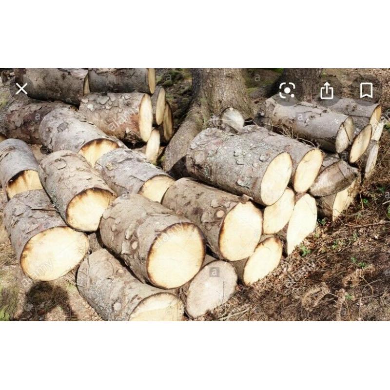 Looking for logs