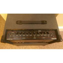Custom Sound Cub 60 Guitar Amp