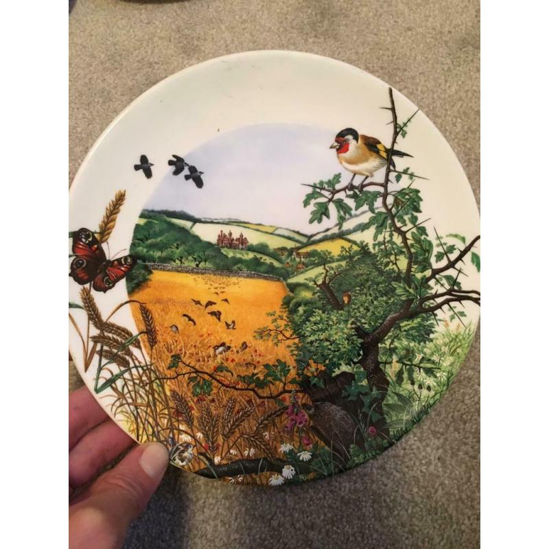 The complete set of immaculate decorative plates, by brilliant artist Colin Newman
